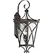 Progress Lighting P6639-108 Cadence Outdoor, Bronze