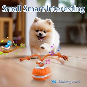   Interactive-Dog-Toys-Motion-Activated-Dog-Ball-Automatic-Rolling-Ball-Toys-for-PuppySmall-Dogs