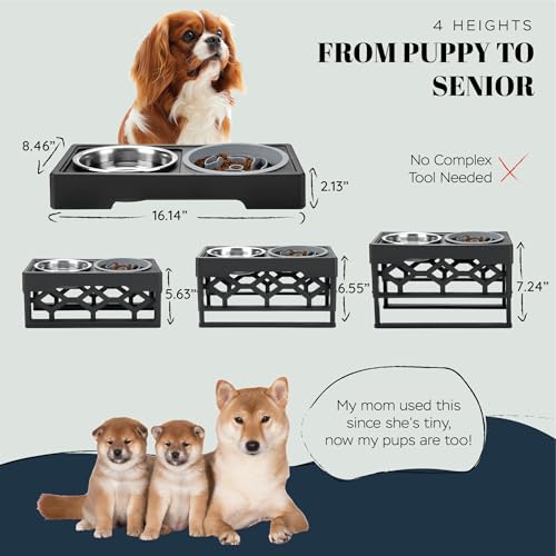 AVERYDAY Small Slow Feeder Dog Bowls Elevated, 4 Height Adjustable Raised Dog Bowl Stand with Stainless Steel Food and Water Bowl, Tall Dogs Feeding Station with Anti-Slip for Small Medium Breeds Dogs - Image 4