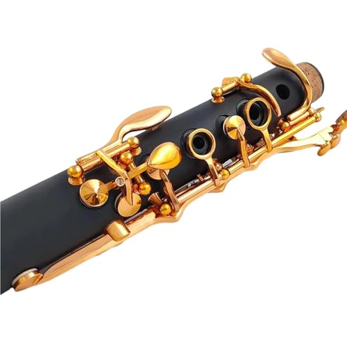 Clarinette Bb laque or instrument à vent pour vos examens - 6