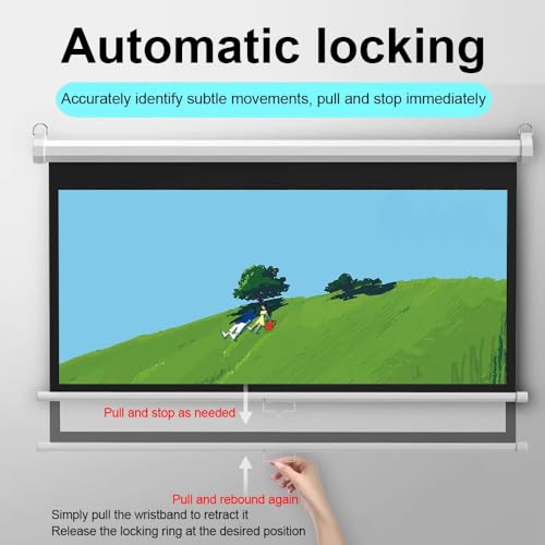 Pantalla manual 60 pulgadas 16:9 para proyector miniatura 2