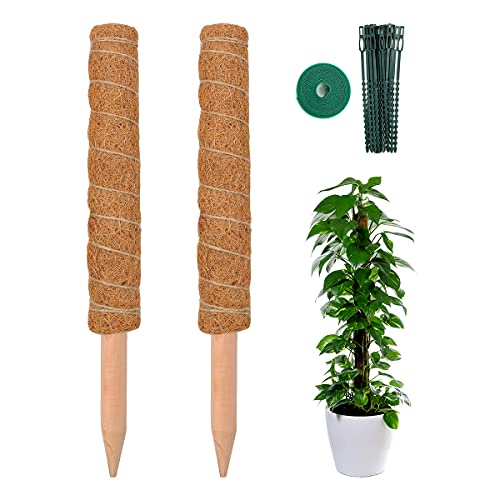 6 confezioni di bastoncini di cocco per piante rampicanti, 45.7 cm e 45.7 cm, Monstera, rampicanti per piante da interni per crescere verso l'alto