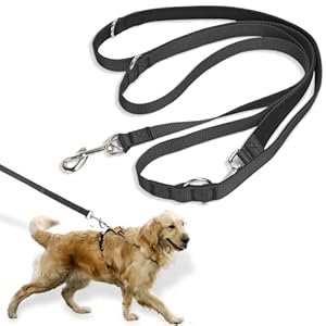 YIMVUNZ Laisse Chien Réglable 2,5 m, Laisse de Dressage Éducative en 3 Positions, Longe Double Ajustable en Nylon Solide pour Chien Chat