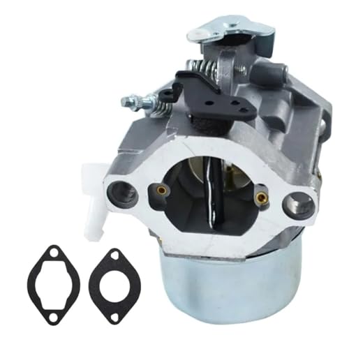 Carburateur 699831 haute performance pour un démarrage fluide du moteur 286702