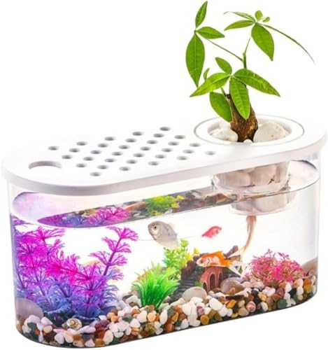 Zeruho  vX`bN   AN J O ϗtA CeA e e[u ANAE {E | e ꎔe ^ 甫Ai (I[oV[gfyJo[{ykoXPbg)