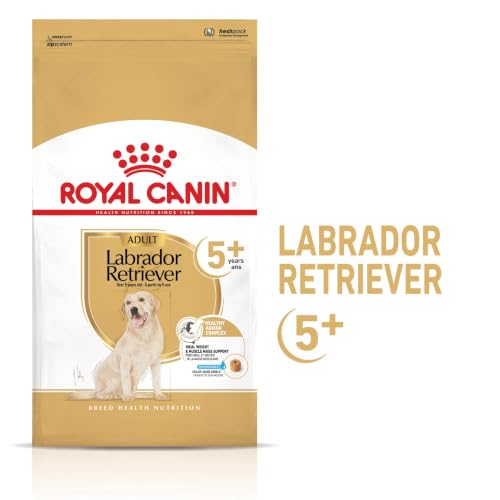 ROYAL CANIN Labrador Retriever 5+ Trockennahrung für Hunde – 12 kg
