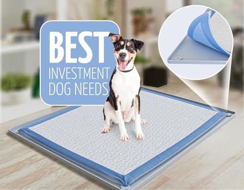 Image of TidyFriend Pee Pad Holder Tray 30 x 23 Inches, Silicone Dog Potty Tray, Easy to Clean No Spill Dog Potty Training Pad Holder (Light Grey)