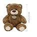 Imagen de Genérico Oso De Peluche