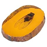 Hemobllo Esemplare di Insetto Ambrato in Resina Naturale, Campione di Pietra Unica a Forma di Cicala, Decorazione Scientifica per Collezione e Studio Educativo