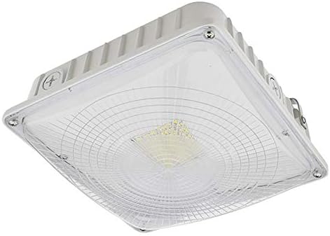 45W LED Dimmable Outdoor Canopy Ceiling Light Fixture ETL-Listed, 100-240/277VAC, Daylight 5000K, 3921WH-R2