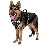 grosse hunde kurzes fell 【Einstellen & Komfort】 Dieses Hundegeschirr ohne Zug ist einstellbar. 4 Voll verstellbare Schiebegurte um den Körper ermöglichen eine individuelle Passform für die meisten Hunde mittlerer und großer Rassen, die auch etwas Raum für das Wachstum von Hunden lassen. Das atmungsaktive und leichte Netzfutter mit weichem Schwammpolstermaterial sorgt dafür, dass Ihr Hund beim Gehen im Freien bequem und sicher bleibt.