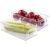 iDesign Plastic Refrigerator and Freezer Storage Bin with Lid, BPA-Free Organizer for Kitchen, Garage, Basement, 14.5
