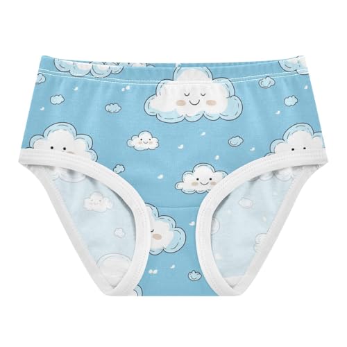 ZZKKO Cute Cloud Blue Sky Girls Underwear Toddler Panties for Girls Comfort Brief Size 2T-8Y