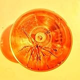 Speak, Imbecille! Records