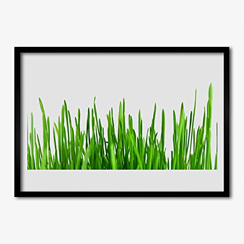 Cadre en MDF avec affiche de nature Tulup une finition soignee pour sublimer votre decoration