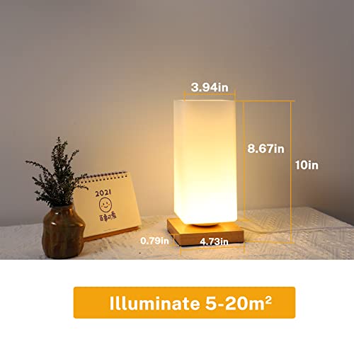 Vase Lamp Table Lamp Dimmable 3 Colors Vase Table Lamp USB Charge Bedside Lamp Frosted Glass Shade with Wood Base