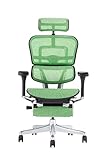 Ergohuman PRO2 ottoman EHP2-LPL-DR-BF-GN [�O���[��]