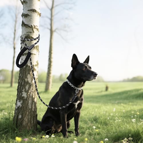 Hundeleine, 1,2 m/1,5 m/2 m/3 m/5 m/10 m/20 m/30 m, mit gepolstertem Robuste Hundeleine, geeignet für das Training und Spazierengehen kleine mittelgroßer und Hunde Abschließbarer Karabine