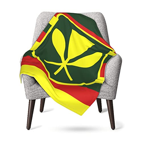 Image of Kanaka Maoli - Native Hawaiian Flag Baby Blanket 30 X 40 in Ultra Soft Toddler Quilt Infant Nursing Blanket Kids Bed Blankets