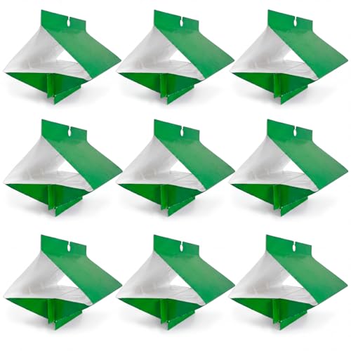 10 Pack Codling Moth Traps for Apple Trees (Lure not Included), Sticky Pest Trap Boards for Codling Moth & Oriental, Hanging Orchard Pest Traps for Farms, Fruit Trees, Outdoor Use