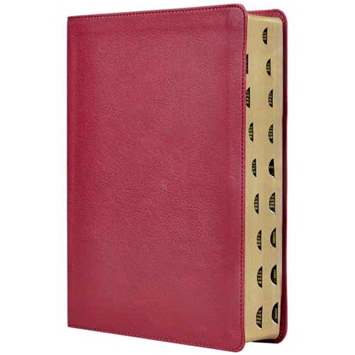 Rvr, Biblia de Estudio Trasfondo Cultural (El Contexto Lo Cambia Todo), Leathersoft, Rojo Vino, Interior a Color, Con Índice, Comfort Print: Explora El Mundo Antiguo de la Escritura