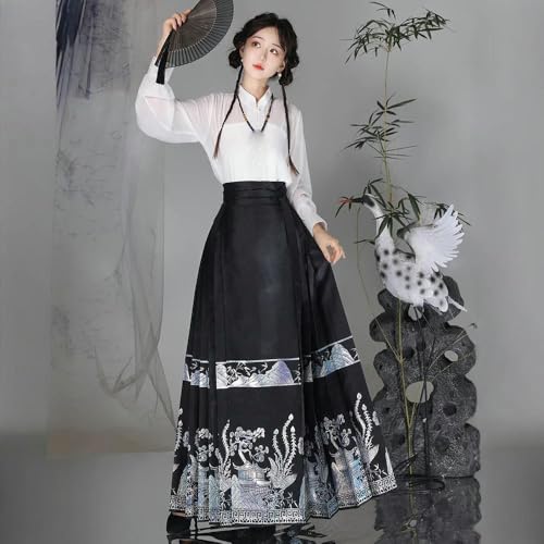 Jupe style chinois femme Hanfu Ming long vêtement quotidien traditionnel
