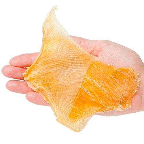 おつまみメニューで見かける エイヒレ とはなに エイのどこの部分なのか解説 うたかたの日々