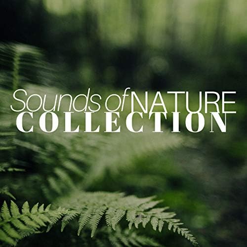 Sounds of Nature Collection 30 Calm Music for Relaxation by Nature