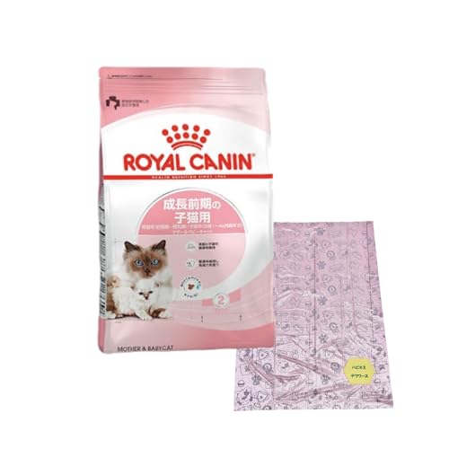 CJi }U[xr[Lbg Lp 400g 1 i O̎qLpALp[DP?]/qLp[1`4] j + 񂿏 Zbgi