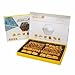 Mediterranean All Natural Handmade Baklava With Cashio pistachio + Honey 31.7 oz Kosher Certified