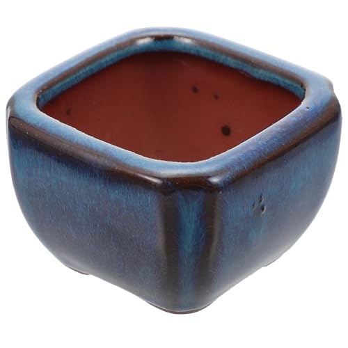 Yardenfun Maceta Pequeña de Barro Morado