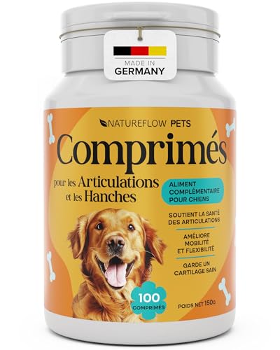 Complément Alimentaire Arthrose Chien Produit PRIMÉ 2024 - Comprimés Anti-Arthrose Articulations avec Poudre de Moule Verte Chien, MSM, Griffe du Diable, Glucosamine,...