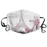  Atmungsaktive Premium Gesichtsschutzhülle,Paris Gesichtsdekorationen Frankreich Eiffelturm Blume Schmetterling Liebe Herz High-Heel Schuhe Frauen Männer Anti Wind Staubschutz Schutzhülle Für Skiradf