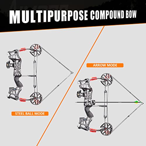 Aimdorarchery Compound Bow Kit With 100 Pcs Steel Balls 23.5”-28.5”Draw Length,30-60 Lbs Draw Weight Up To 345 Fps No Bow Press Needed Limbs Made In Usa #TOP7