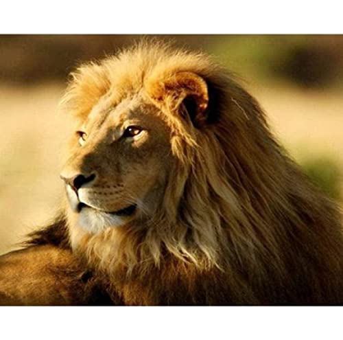Broderie Point de Croix Lion Toile 11CT pour Déco de Chambre