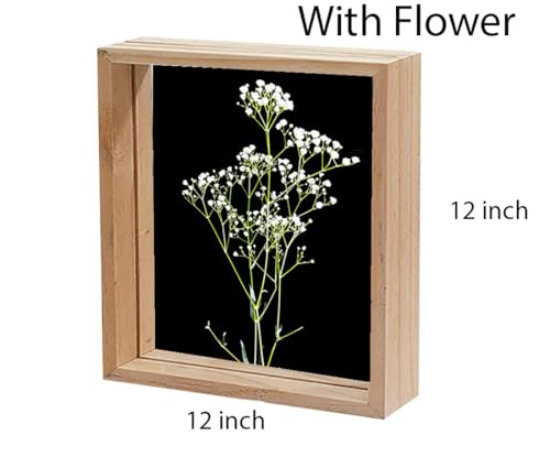 Image of Desi Rang Wooden Frame for Wall Decor Table top Hanging Any Green or dry plant Leaf Picture Photo DIY Gift Home decoration (Natural,Sqr,12x12 inch,with White Flower)