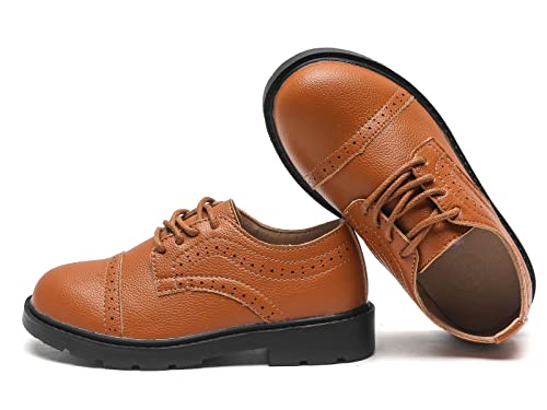 Dadawen Boy's Girl's Classic Oxfords Lace-Up Dress Shoes School Uniform Formal Shoes (Toddler/Little Kid/Big Kid) Brown Us Size 2 M Little Kid #TOP6