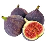 Figues Fraîches 500g...