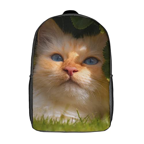 Sac à dos Cat Sports idéal pour les voyages scolaires et les sorties de loisirs