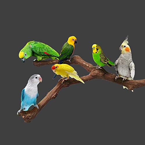 Image of 5 PCS Natural Grape Stick Perch Swing Chewing Toys for Parrot Cages, Cockatiels, Parakeets, Finches - Bird Standing Stick