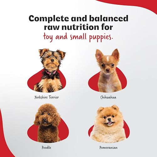Image of Dry Dog Food for Complete Nutrition Diet for Toy & Small Puppy Breeds, High-Protein Growth Formula with Vitamins, Minerals, Immune Support & Healthy Digestion, Ideal Daily Meal for Puppies (2kg)