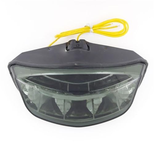 Intermitentes y luces traseras para Monster 1100 795 796 iluminación LED moto