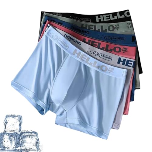 PNZLZIA Hello Ice Underwear for Men Hello Mesh Ice Underwear for Men Low Rise Boxer Briefs For Mens (5PCS Large)