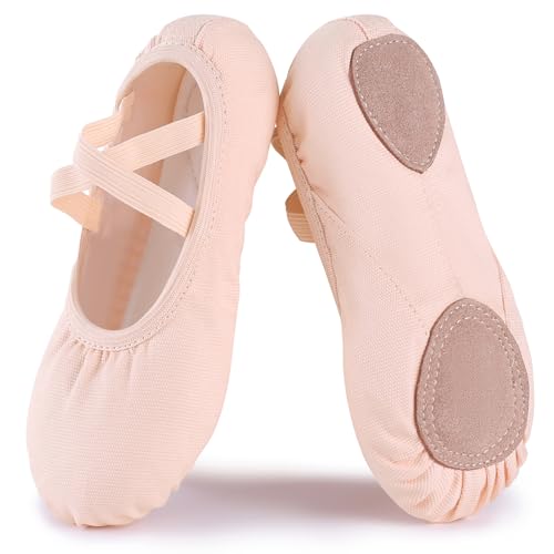 Acfoda Chaussures de Ballet Fille Toile Élastique Demi Pointe Danse Classique Chaussons Femme Doux Gymnastique Ballerines Split Semelle pour Adultes Rose 38