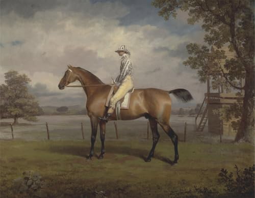 Portrait d'un cheval de course George Garrard grand poster pour habiller un mur nu