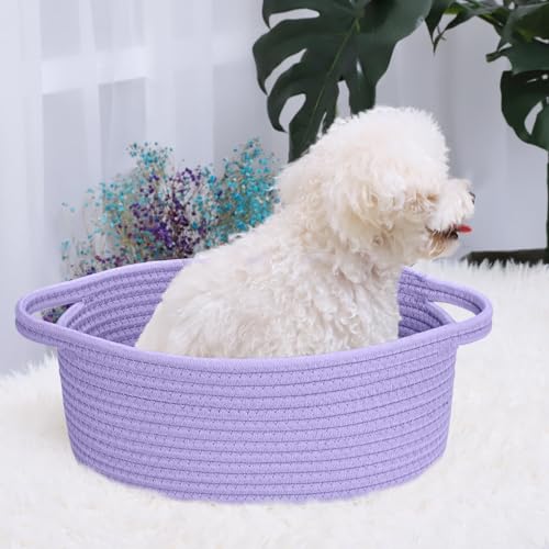 Image of ABenkle Small Basket with Handles, Boho Decorative Rope Woven Dog Cat Toy Storage Bin Shelf Storage Organizer, Easter Christmas Gift Basket, 12 inchx8 inchx5 inch