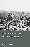 Slovenia in World War I: The Soča Front and the Shattering of Empires