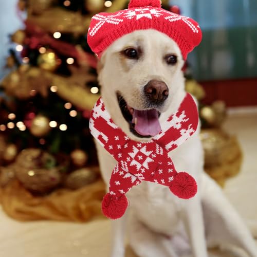 Disfraz Navidad para Perro con Sombrero y Bufanda miniatura 4
