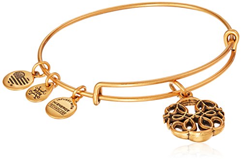 Preisvergleich Produktbild Alex and Ani Lebensweg Charmarmband, Rafaelian Goldton