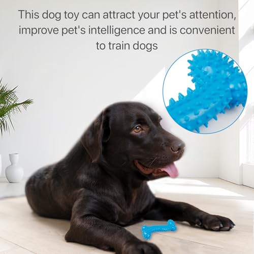 Image of Dog Chew Toy for Puppy, Cute Blue Small Dog Toy, Durable Chew Toy for Dogs and Pets - Durable & Non Toxic Spiky Rubber Bone for Dogs and Pets |Chew and Interactive Dog Toy (Blue)